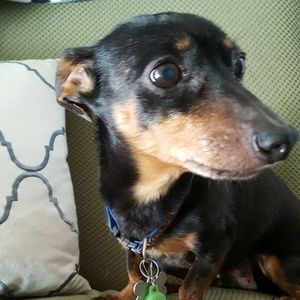 Meet your Posher, Christina